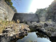 HKU Ecologists Lead Global Study Revealing Dam Construction's Harmful Impact on Migratory River Species